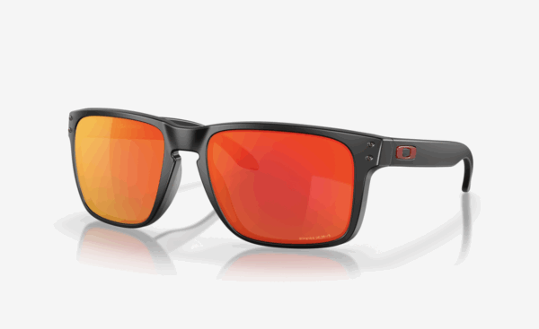 Oakley Holbrook